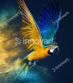 Flying Ara Perroquet - Tableau Décoratif Murale – Image 2