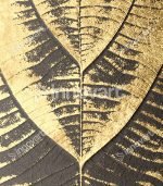 Gold Flowers - Tableau Design avec Cadre Américain – Image 2